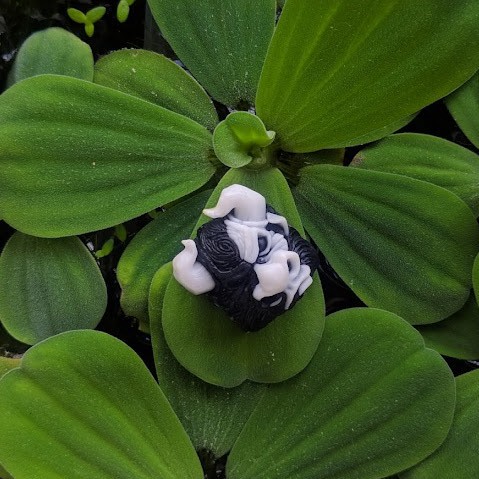 Nút phím cơ bull trắng đen keycap