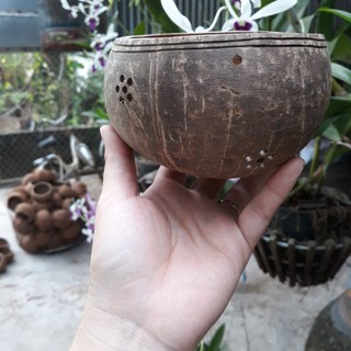 Chậu không hoa văn SIZE NHỎ