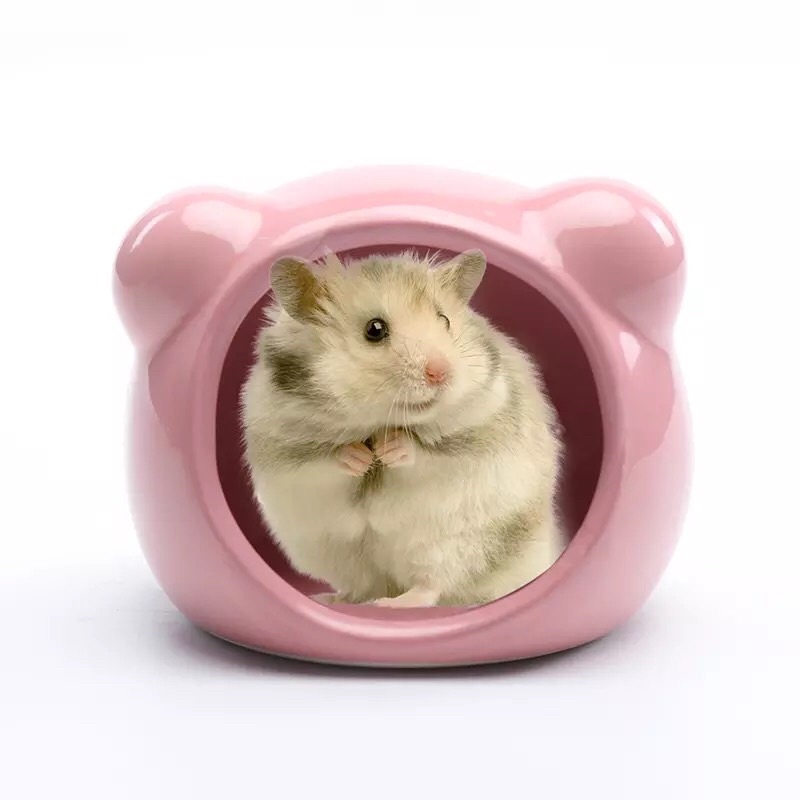 Nhà Ngủ Sứ Hình Cute cho Hamster | Thú Nhỏ