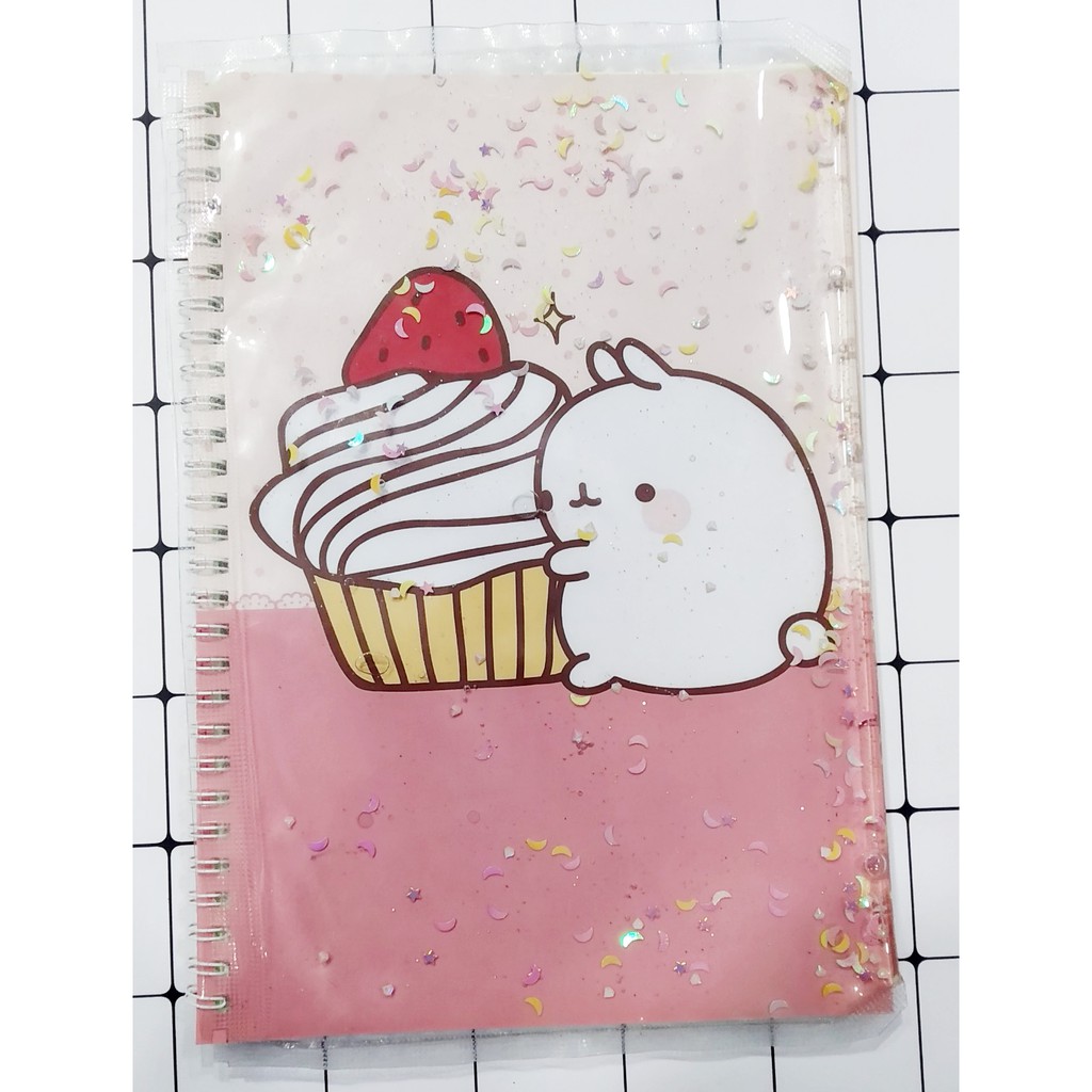 Sổ lò xo kim tuyến molang SLK6 60 trang 17x25cm