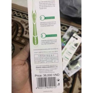 Bộ Bàn Trải Đánh Răng Than Tre (1 cái)