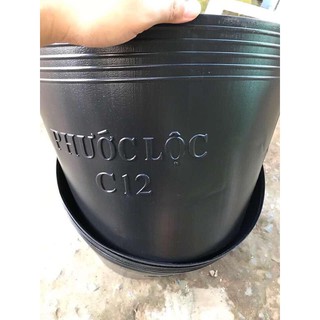 Chậu nhựa đen 33cmx27cm