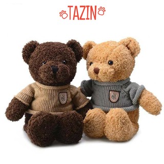 Gấu Bông Teddy Head Tales - Gấu Bông Mini Nhồi Gòn Cao Cấp Tazin