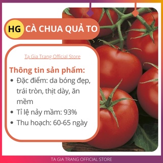 Hạt giống cà chua tròn, quả to - Shop hạt giống Tạ Gia Trang