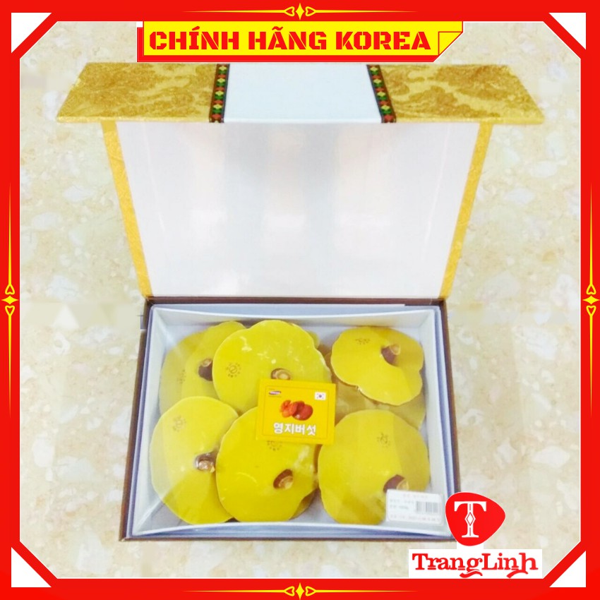 Nấm linh chi hàn quốc thượng hạng - Nấm hộp kim tuyến 1kg giúp thải độc gan, thanh lọc cơ thể - tranglinhkorea