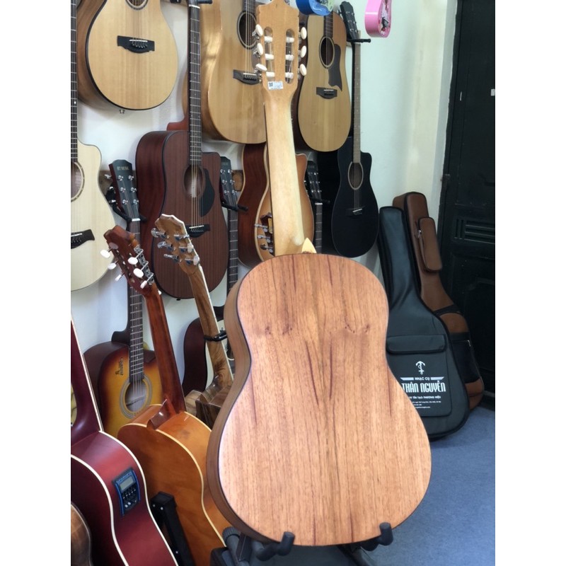 Đàn Guitar Classic gỗ hồng đào Full solid C03M