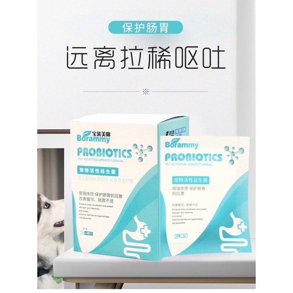 Men tiêu hóa Borammy Probiotics ngăn ngừa các bệnh liên quan đường tiêu hóa cho chó mèo