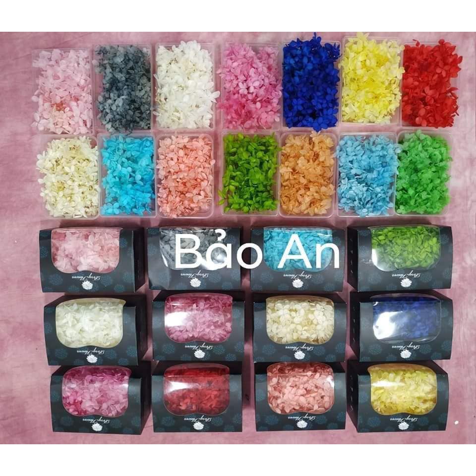 Hoa tú cầu khô
