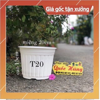 [ Sỉ từ 30 cái ] chậu nhựa trắng (20cmx15cm) trồng sen đá- xương rồng-cây mini