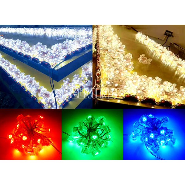 100 Bóng LED Đúc F20MM Full Màu 12V IC 1908