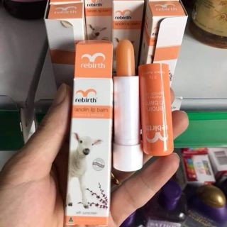 Son dưỡng môi nhau thai cừu