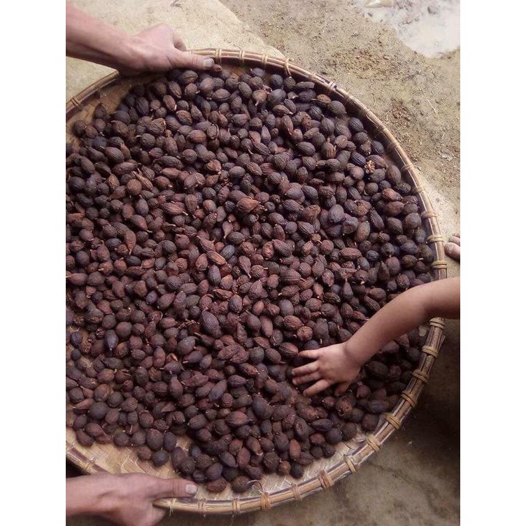 Thảo quả 100g - Black Cardamom