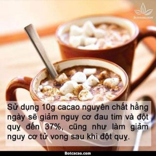 BỘT CA CAO NGUYÊN CHẤT