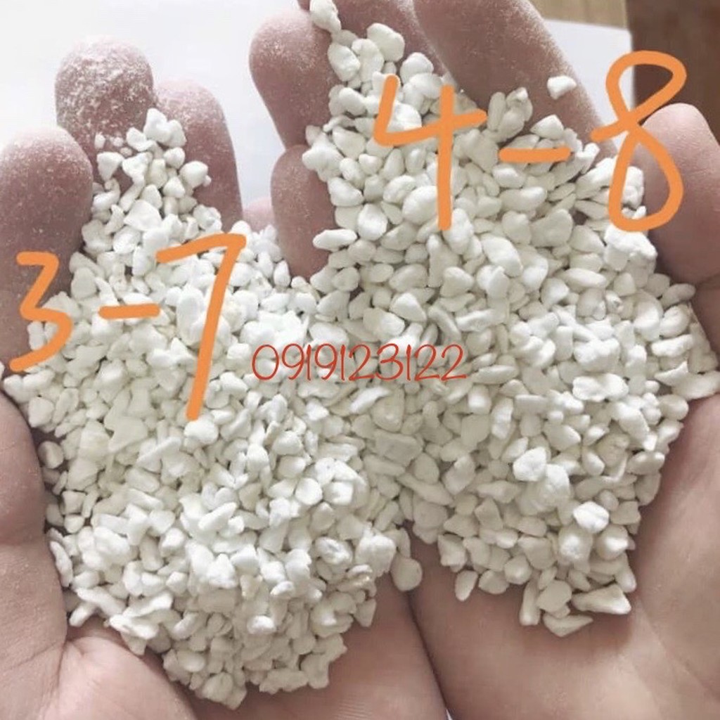 Đá PERLITE - 200g đủ size