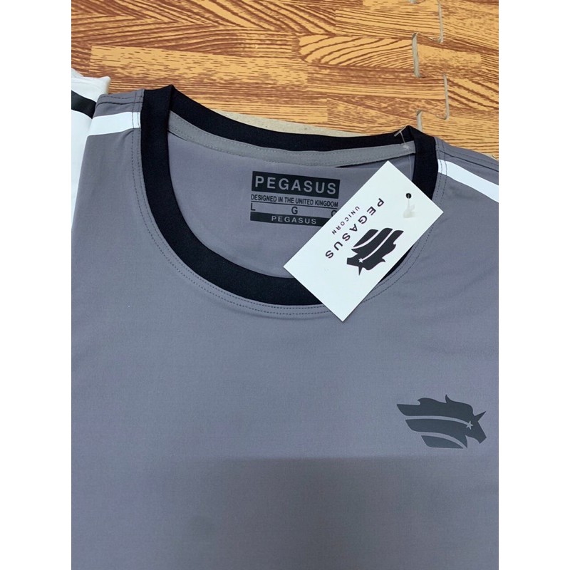 Áo Thun Nam Cổ Tròn Co Giãn 4 Chiều - Hàng Shop ( mã 268)