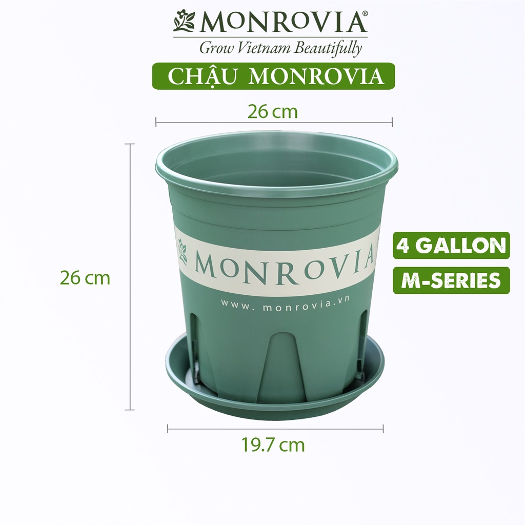 Chậu nhựa trồng cây MONROVIA 4 Gallon để bàn, treo ban công, treo tường, ngoài trời, sân vườn, tiêu chuẩn Châu Âu