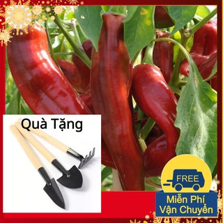 Hạt Giống Ớt Sừng Bò Tặng Bộ Dụng Cụ Mini Trồng Cây Tặng Bộ Dụng Cụ Mini Trồng Cây