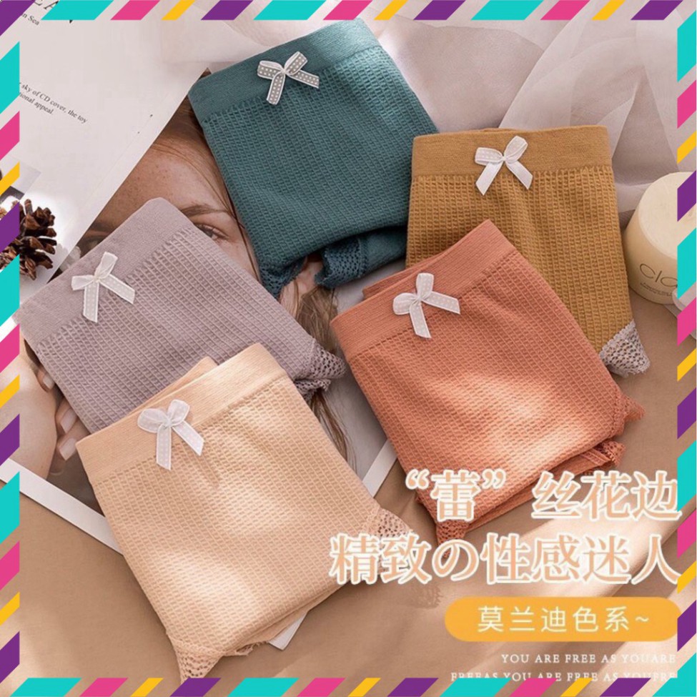 COMBO 10 quần lót cotton kháng khuẩn xuất Nhật kháng khuẩn, siêu co dãn loại 1, quần lót nữ form size 45-65kg