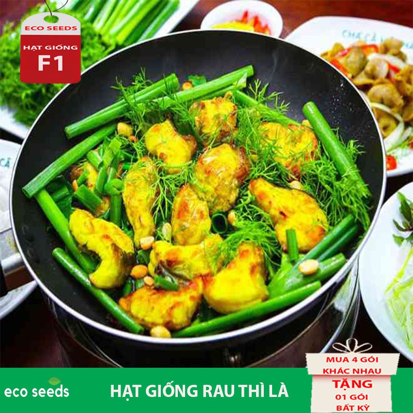 [SALE 50%] Hạt giống Rau Thì Là G3 Eco seeds KLT 20g