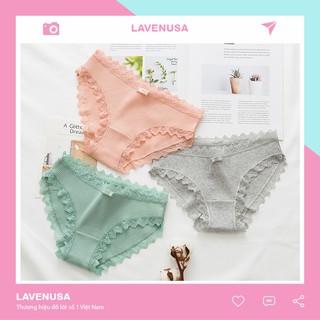 Quần lót cotton len tăm viền ren thời trang cao cấp thoải mái LAVENUSA QL19