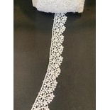 Ren cotton nhiều màu