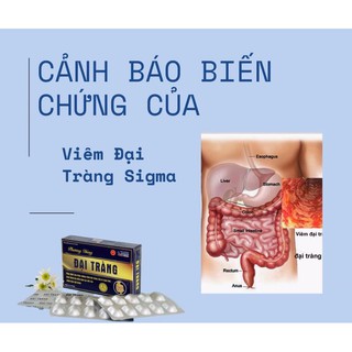 Đại Tràng Phương Đông (hàng chính hãng)