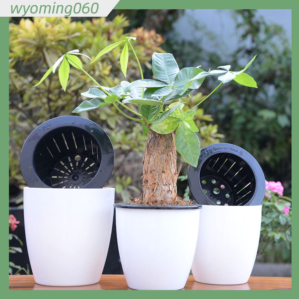 Chậu trồng hoa tròn Tự hấp thụ nước Chậu nhựa PP với giỏ trồng cây Dây bông