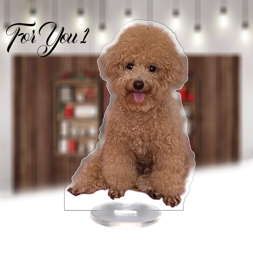 In ảnh làm mô hình 2D, standee theo yêu cầu, in ảnh làm quà tặng, quà kỷ niệm, in ảnh mica, cắt ghép ảnh