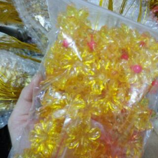 CÂY KIM TIỀN TÀI LỘC( Ảnh thật)