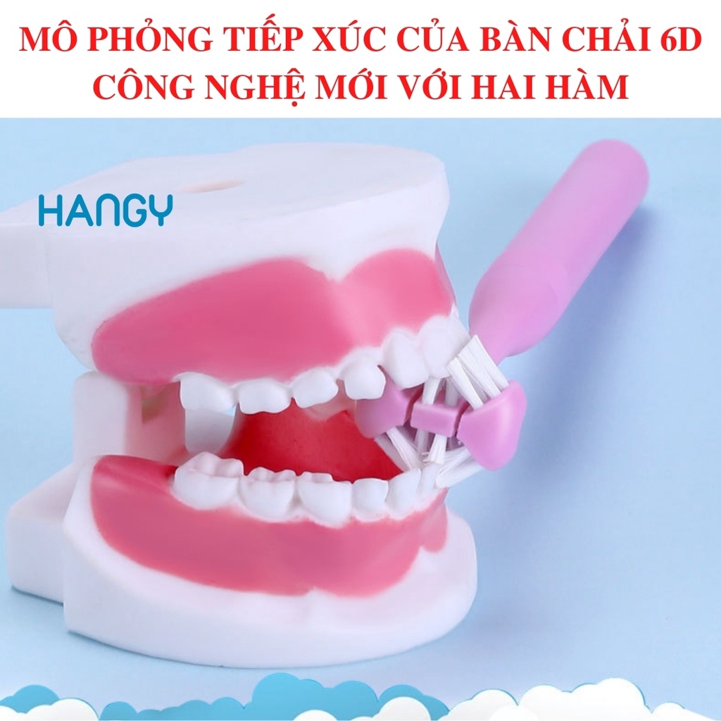 Bàn chải đánh răng trẻ em đầu chải 6D LEYUYO sáu chiều làm sạch sâu HANGY