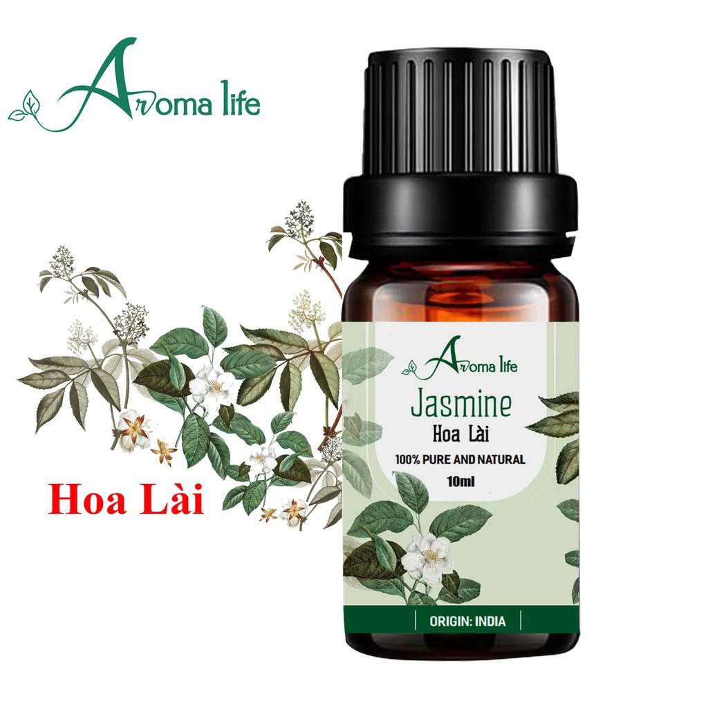 Tinh dầu nguyên chất Hoa Lài Aroma Life (10ml 50ml)