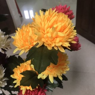 hoa cúc vạn thọ vải. 25k/cành