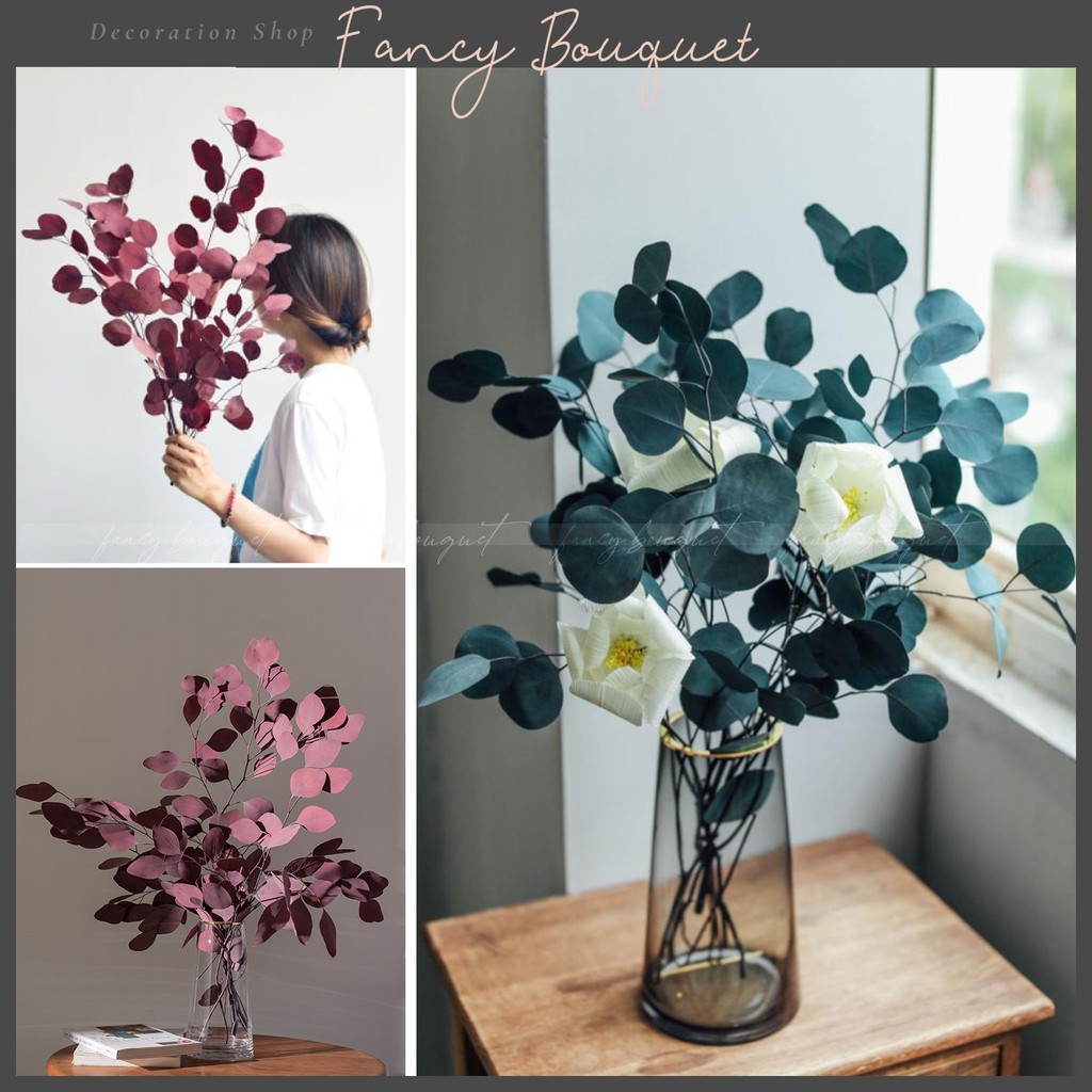 Lá bạch đàn khô ❤️FREESHIP❤️ hoa trang trí phòng khách decor vintage