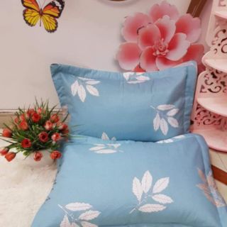 Vỏ gối cottong