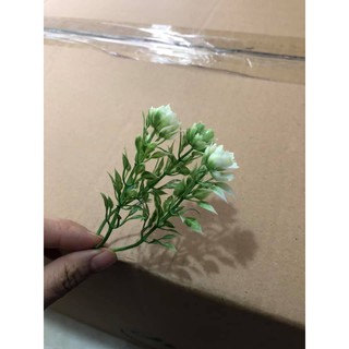 Cỏ điểm nhựa cắm hoa