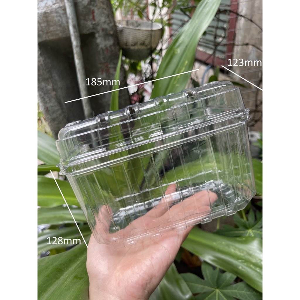 10 Hộp nhựa P1000B đựng 1kg trái cây