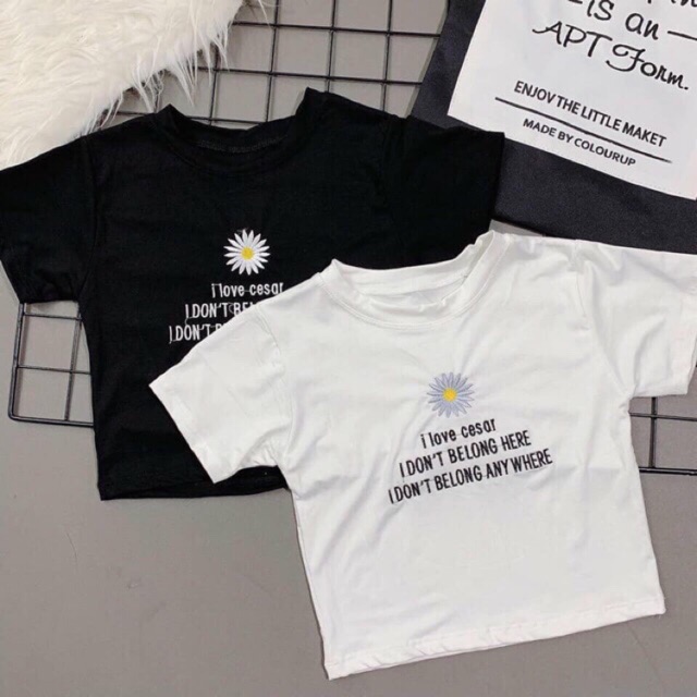 (Có hình thật) ÁO CROPTOP THÊU HOA CÚC 2 MÀU