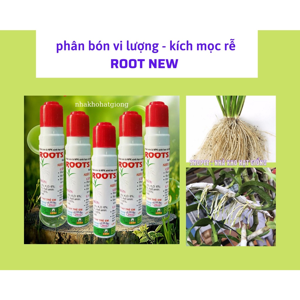 Root New ống 20ml đậm đặc- kích thích siêu ra rễ