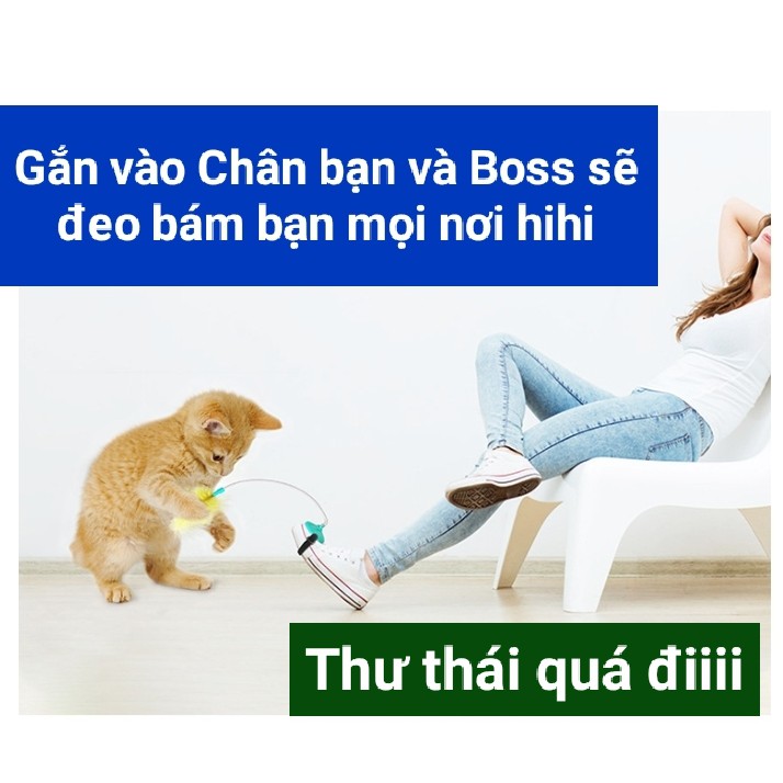 Cần câu mèo cải tiến mới nhất hiện nay với rất nhiều cách chơi cùng mèo cưng