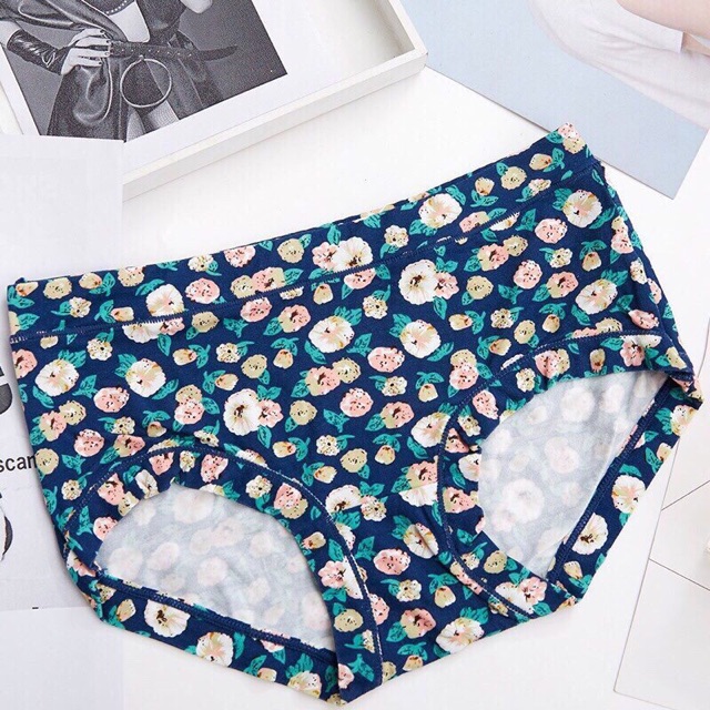 Quần lót điều hoà thông hơi cotton