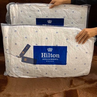 Ruột gối Hilton