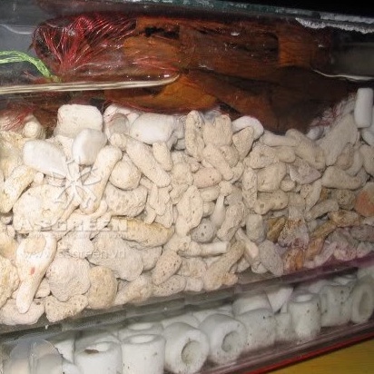 100g San hô vụn lọc nước, giúp tăng PH, trang trí bể thủy sinh