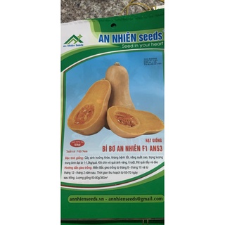 Hạt giống bí bơ 100 hạt - cây phát triển tốt, quả to