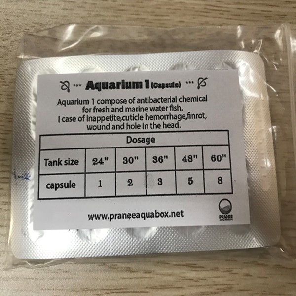 Sát khuẩn hồ tép Pranee Aquarium-1