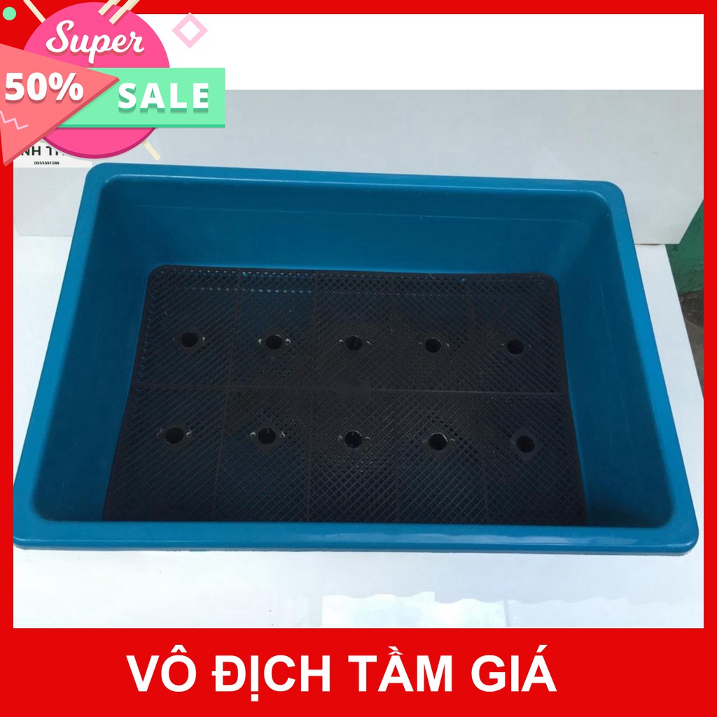 (Siêu Giàm Gía) Chậu nhựa trồng rau cỡ lớn Khay trồng rau thế hệ mới size 67cm x 45cm x 21cm màu xanh dương