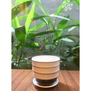Chậu trồng cây sứ Bát Tràng