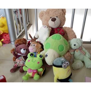 Gấu, ếch, rùa minion