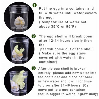 Hộp 60 quả trứng khủng long dễ thương cho bé