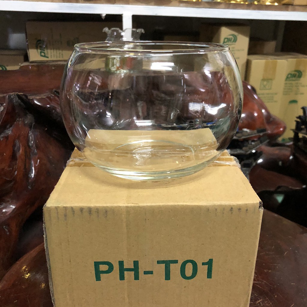 T01-BỂ CÁ THỦY TINH HỒ CÁ CHẬU CÂY HÌNH CẦU D14CM x 12CM