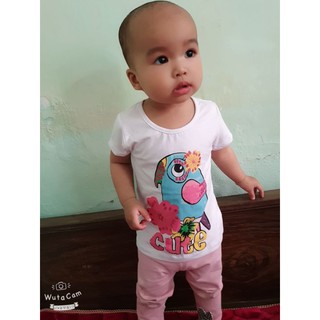 Áo phông Hm cho bé gái